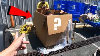 We Bought Another Goodwill Pallet - Did We Get SCAMMED?
