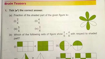 DAV Class 3 unit 11 brain teasers ।। Class 3 unit 11 brain teasers dav public school