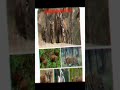 🌿 Simlipal Biosphere Reserve: Odisha का जैव विविधता खजाना! 🐅🐘 #Shorts