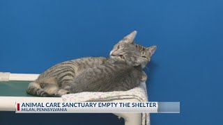 Bissell Empty the Shelters helps adopt 48 animals