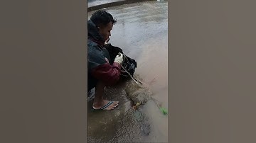 Cleaning garbage Clogged Culvert drain under Rain Flooding #real #plastic #shorts #remove #unclog