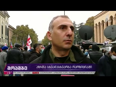 აზრთა სხვადასხვაობა ოპოზიციაში
