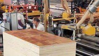 Live streaming of working factory processing 19 June 2026🛑EP05
