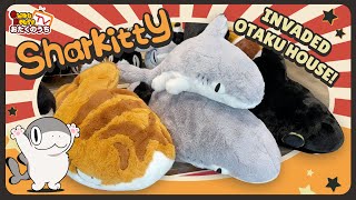 Meet Sharkitty! 🐱🦈 The Cutest Shark-Cat Hybrid You NEED to See!