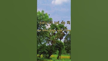 সূরা নাসর শিখুন(سوره النصر)#quran #tilawat