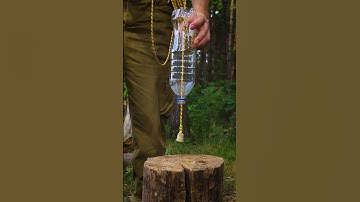A brilliant IDEA to collect water! #lifehacks #bushcraft #survival #camping