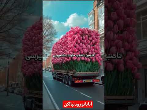 الله ذکر دعا استخاره دعاء روحانيات ترند یازهرا کائنات جهان هستی