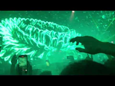 Mesto Id Live Tokyo