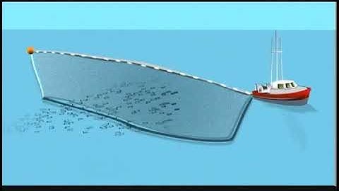West Coast Fishing - Gillnet