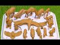 Jungle &amp; Sky Rescue Adventure: Cleaning, Healing &amp; Releasing Wild Creatures