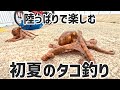 陸っぱりで楽しむ、初夏のタコ釣り in大阪湾