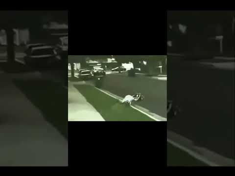 Wenn der Rasenmäher mehr PS hat als dein erstes Auto 💥 Er wollte nur mähen… und macht fast nen Film