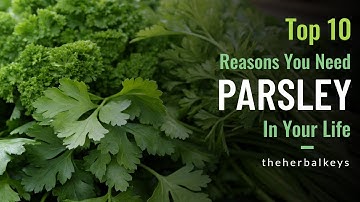 Parsley Power: 10 Reasons This Herb Belongs in Your Home & Garden!