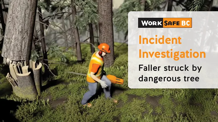 Top of Dangerous Tree Strikes Faller