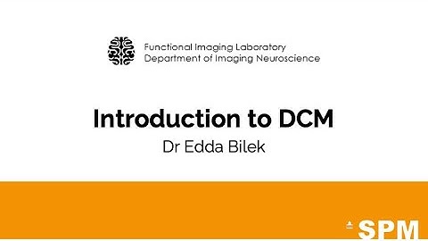 Introduction to Dynamic Causal Modelling | Dr Edda Bilek | SPM for fMRI and VBM
