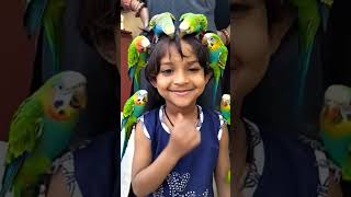 Ai Parrot Video