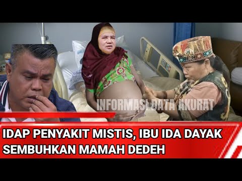 Video: Apa yang Harus Dilakukan Jika Anjing Yang Diadopsi Baru Tidak Cocok