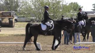 427D Linda Pless On Mac Sr Beginner Novice Dressage Twin Rivers Ranch April 2017