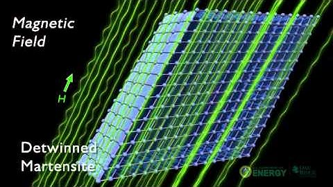 Magnetic Fields: Shape Memory Effect
