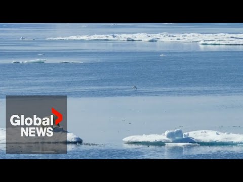 Video: Kāpēc Ziemeļu Ledus okeāns ir vismazāk izpētīts?