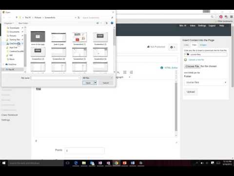 Canvas   Making an Assignment with a File Attached in a Module