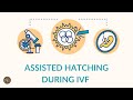 Assisted hatching  ivf  center for human reproduction