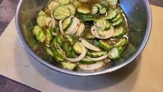How To Make The Tastiest Refrigerator Pickles! Garlic, Dill, Onion & Spices.
