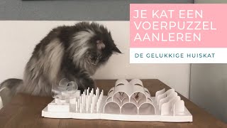 ZO LEER JE JE KAT EEN VOERPUZZEL GEBRUIKEN  VOERPUZZELS DEEL 2 De gelukkige huiskat Kattengedrag