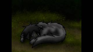 Greystripe AMV - Gone Forever [800 ѕυввєяѕ]
