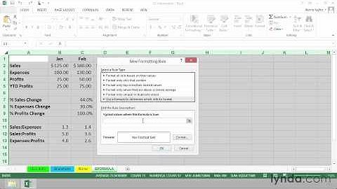 Excel Chapter 12: Information Functions 2/4 ISFORMULA mp4