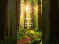 Be Still… | Peaceful Prayer Piano for Rest and Silence