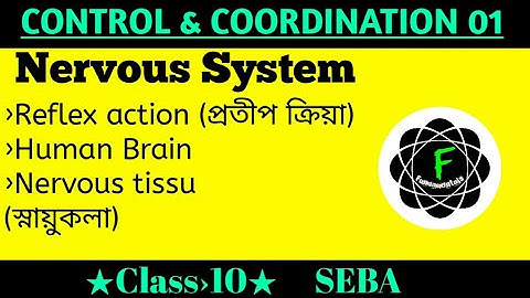 Class10 Science ||Chapter 7- Control And Coordination 01|| Bengali Medium নিয়ন্ত্রণ ও সমন্বয়
