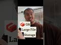 Git LFS