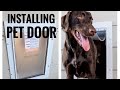 Installing A Doggy/Pet Door. #tutorial #diy #pets