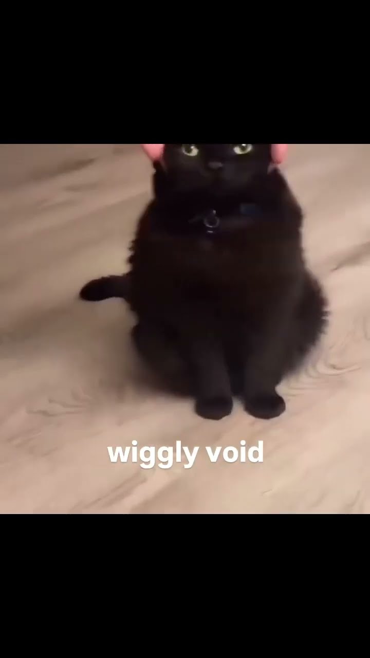 Kittyo wiggling around like yeah it’s time to just vibe