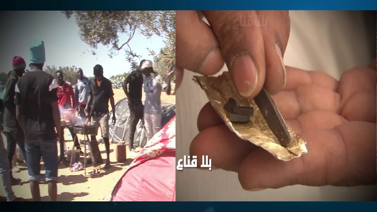 سـ ـري وخطـ ـير..مافيا نيجيرية لصناعة الزطلة وترويجـ ـها لأبناء العامرة..حراق تائب يفضـ ـح ويحـذر!!