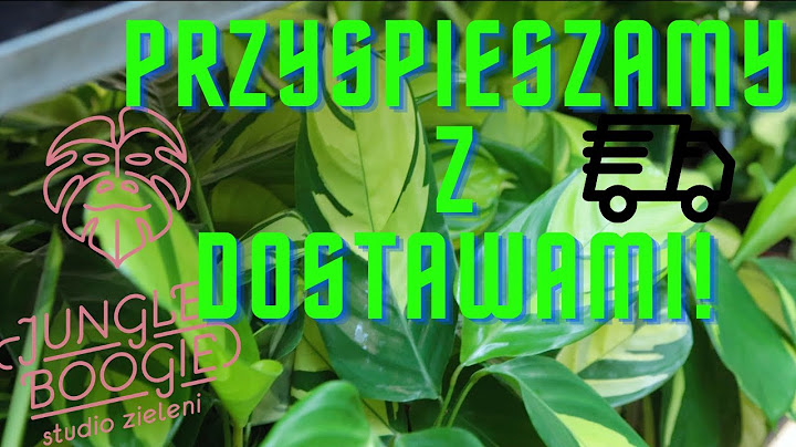 Dostawa roślin GIGANT od Jungle Boogie, podwajamy dostawy!
