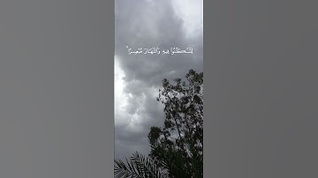 سورة غافر آية 61