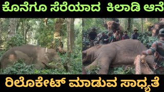 ಕೊನೆಗೂ ಸೆರೆಯಾದ  ಕಿಲಾಡಿ ಆನೆ 