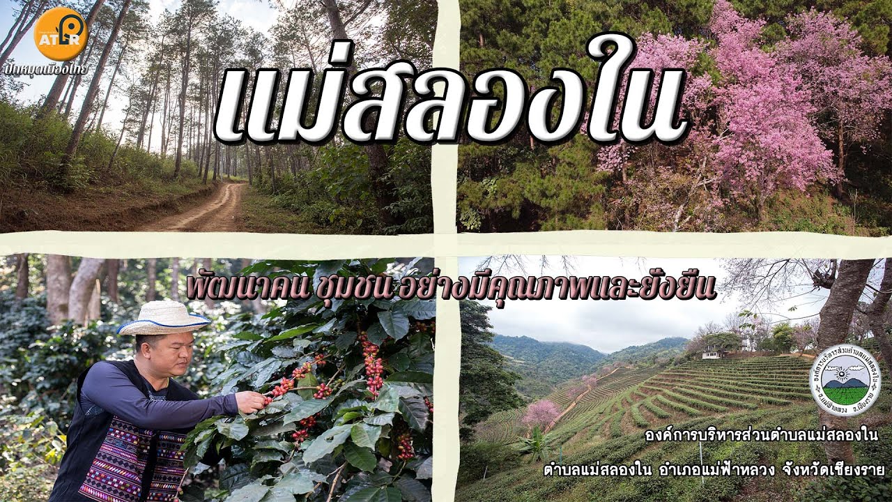 องค์การบริหารส่วนตำบลแม่สลองใน จังหวัดเชียงราย