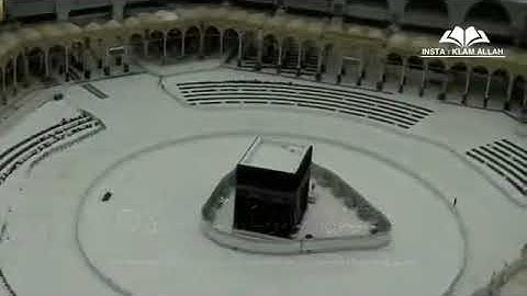 أرح سمعك 🥀قارئ: عمر الدريويز 🍃حالات واتس آب