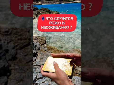 4 октября 2023 г.