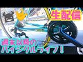 自己中な子供たちとDQNな大人が日本をダメにする