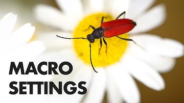 10 camera-/flitsinstellingen voor macrofotografie