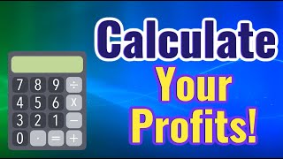 Omni Calculator Salary: How To Calculate Your Profits And  Projections Using The Omni Calculator