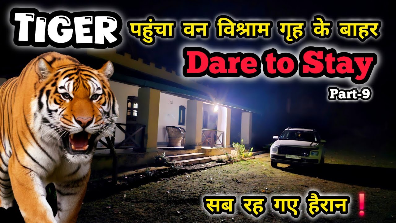 फॉरेस्ट गेस्ट हाउस के बाहर आया बाघ?| Mundiyapani Forest Rest House | Dare to Stay | Jim Corbett