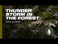 Thunderstorm in the Forest: Powerful Nature Sounds | DARK SCREEN