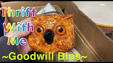 THRIFT WITH ME | A trip to the Goodwill Bins 😁