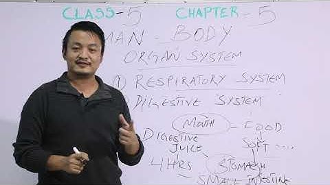 Class 5 Science 16 Aug 2020 Topic : Human Body (Part 1)