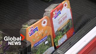 Amid US trade war, local sales are looking "UP" for one BC farmer